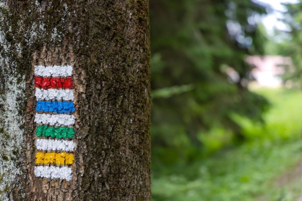 Foto: Shutterstock.com