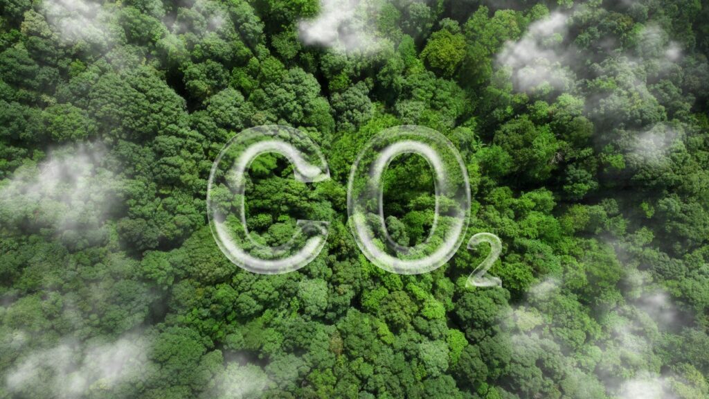 Foto: Shutterstock.com
