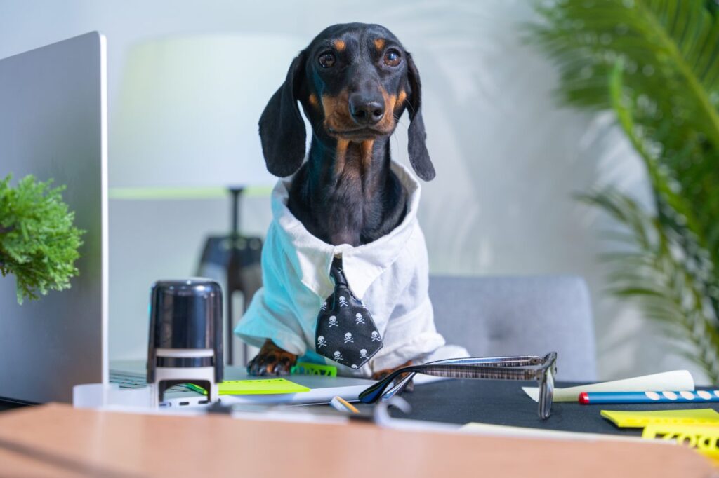 Foto: Shutterstock.com
