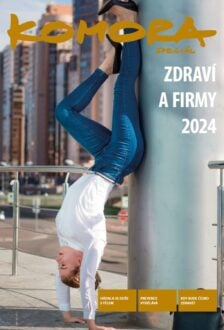 Zdraví a firmy