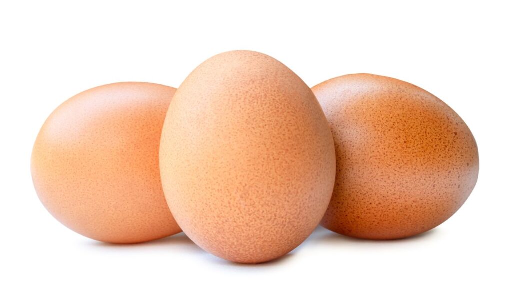 Foto: Shutterstock.com