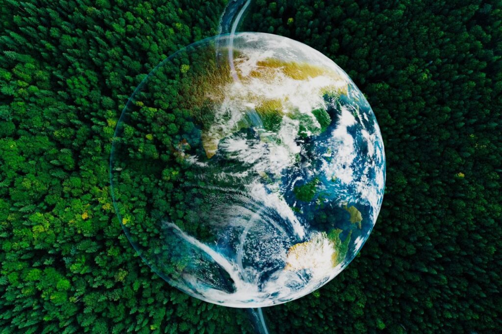 Foto: Shutterstock.com