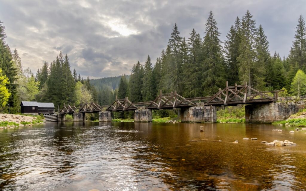 Foto: Shutterstock.com