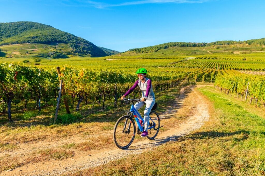 Foto: Shutterstock.com