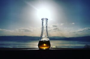 Foto: Shutterstock.com
