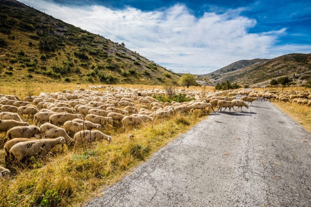 Foto: Shutterstock.com