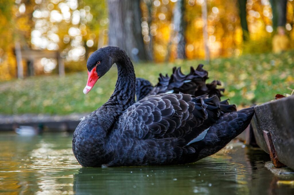 Foto: Shutterstock.com