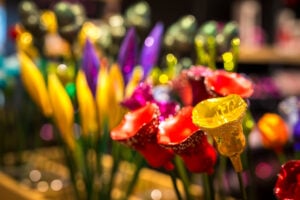 Foto: Koulier