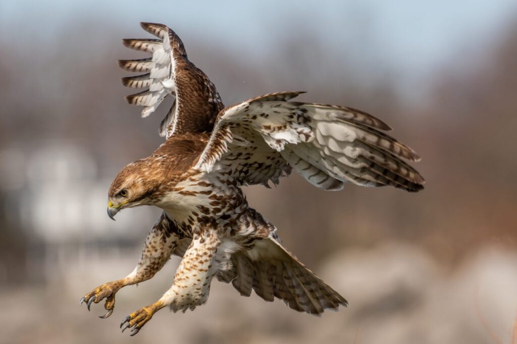 Foto: Shutterstock.com