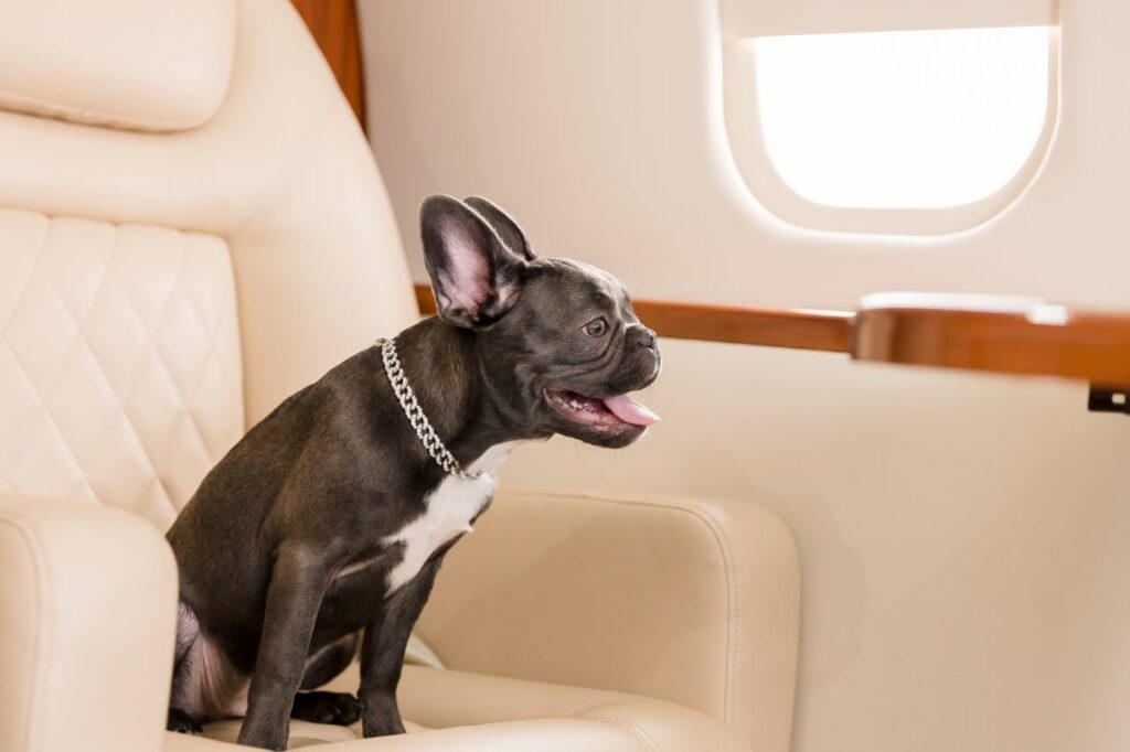 Foto: Shutterstock.com
