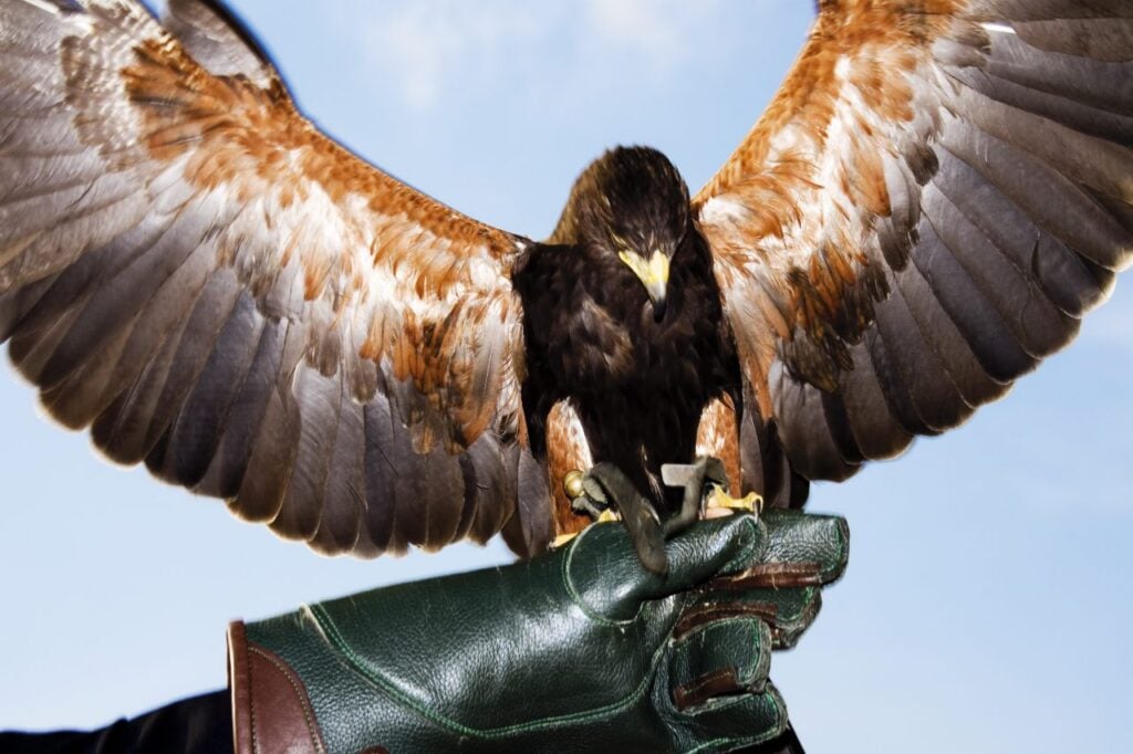 Foto: Shutterstock.com