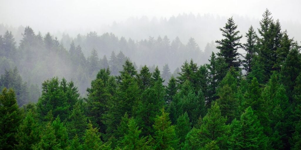Foto: Shutterstock.com