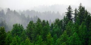 Foto: Shutterstock.com